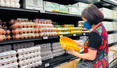 Bird flu is spreading again and appearing at egg producing farms. Could it lead to another rise in egg prices?