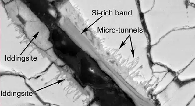A Polished Thin Section Of A Martian Meteorite, Imaged With Sem, Exposes Tunnels And Sinuous Microtunnels.