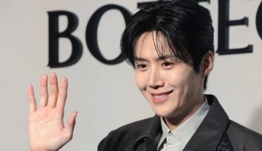 Kim Seon-ho Suspected of Tax Evasion via Family Corporation - 조선일보