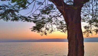 Israel swelters under unseasonable warm spell as haze and clouds persist