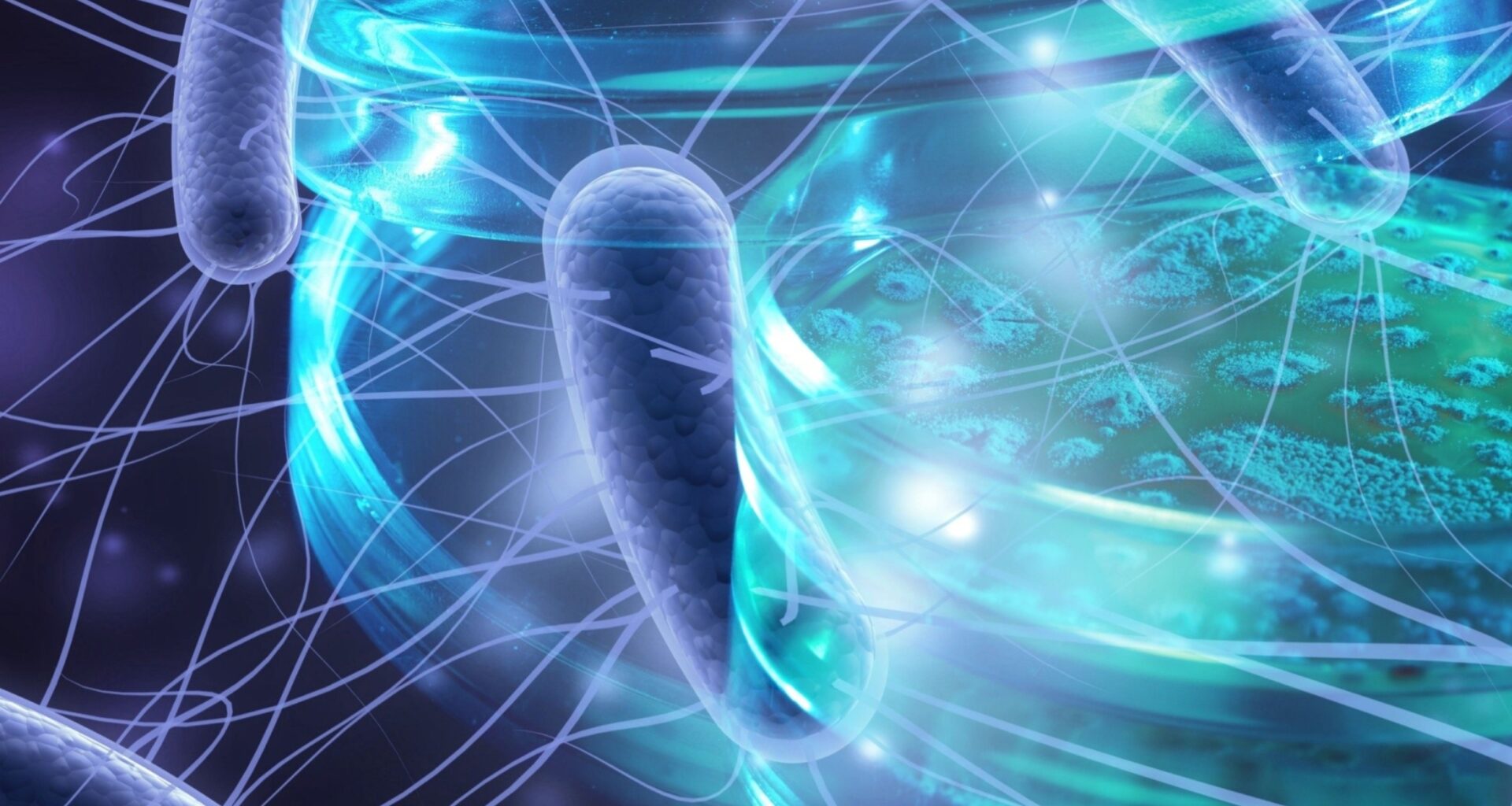 Scientists measure the magnetic compass inside one bacterium