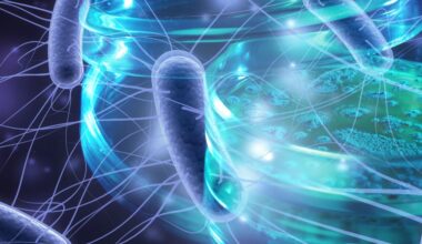 Scientists measure the magnetic compass inside one bacterium