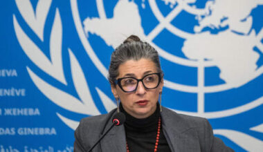 European governments move to oust UN rapporteur over anti-Israel remarks