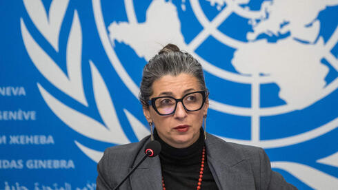 European governments move to oust UN rapporteur over anti-Israel remarks