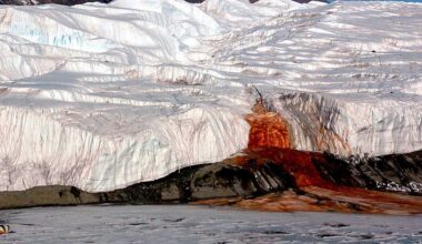 The Last Mystery of the Blood Falls in Antarctica Has Also Finally Been Solved