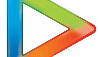 SCOOP: Ranbir Kapoor in talks with Mohit Suri & Yash Raj Films for gangster-backed musical love saga - Bollywood Hungama