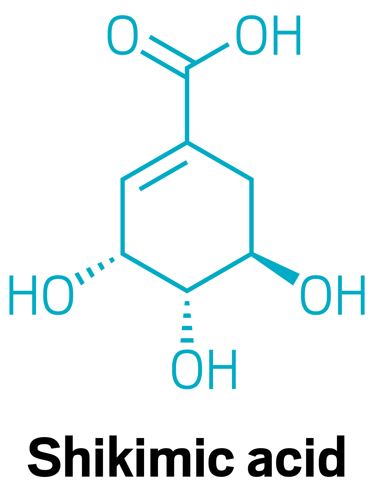 The structure of shikimic acid.