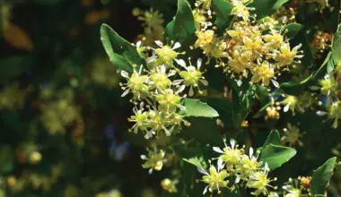 Distressed chemical makers get relief; carbon capture MOF company raises funds