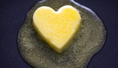 High-fat diets cause more damage to metabolic health than carbohydrates