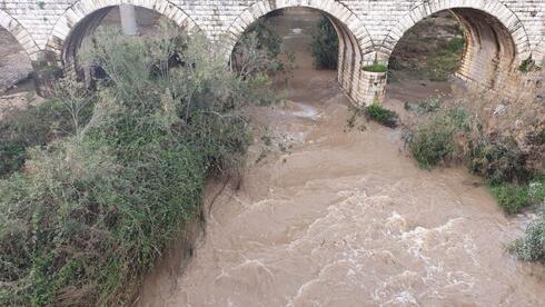 Toxic 'forever chemicals' found across Israeli waterways
