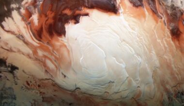 Cappuccino swirls at Mars’ south pole