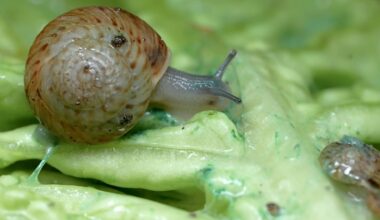 A ‘Once in a Career’ Moment