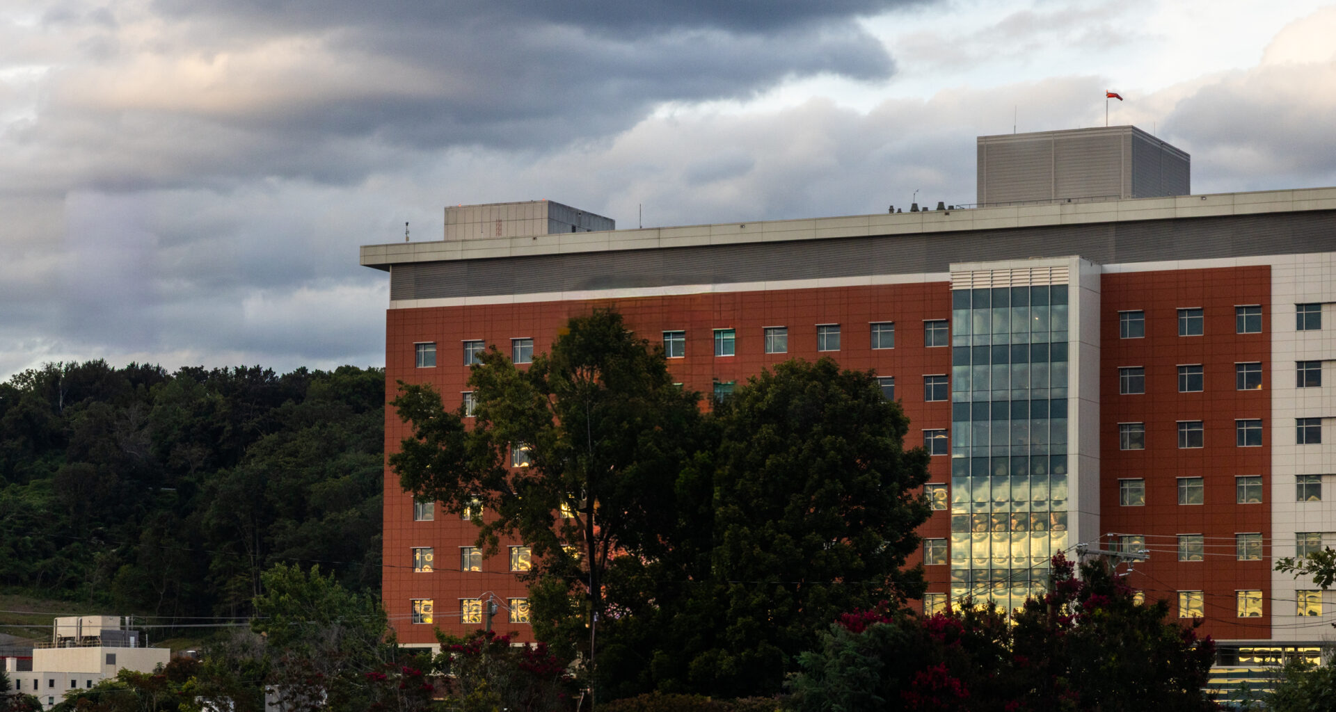It’s Groundhog Day. For HCA-owned Mission Hospital and Asheville, it’s déjà vu all over again. • Asheville Watchdog