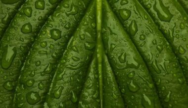 Between Flood and Drought: The Metric That Could Better Explain What Happens to Water in the Age of Climate Change - Environment | Weizmann Wonder Wander