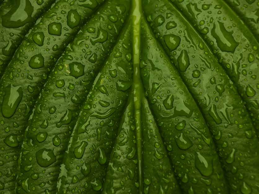 Between Flood and Drought: The Metric That Could Better Explain What Happens to Water in the Age of Climate Change - Environment | Weizmann Wonder Wander