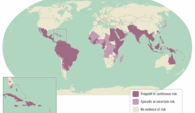 Hong Kong Travelers Beware of Dengue Fever in 2026 — Vax-Before-Travel