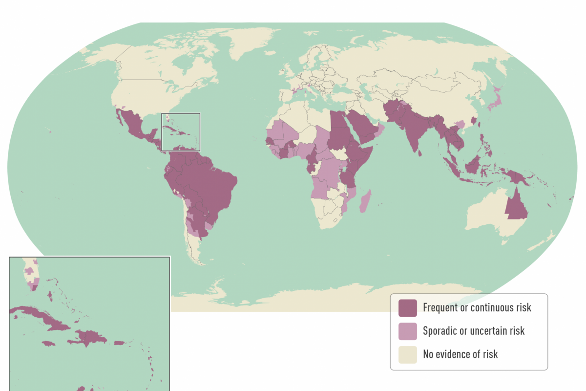 Hong Kong Travelers Beware of Dengue Fever in 2026 — Vax-Before-Travel