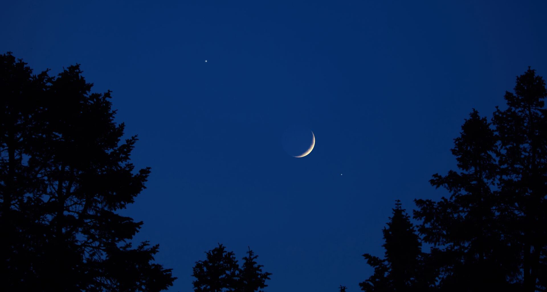 A crescent moon is pictured in a dark blue sky with the dark silhouettes of trees below.