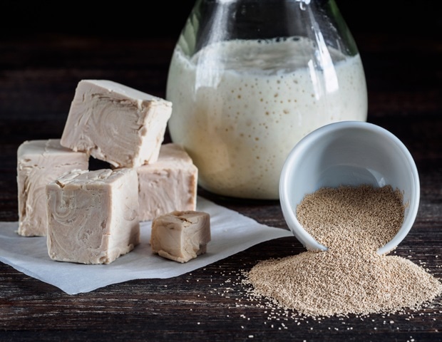 A yeast-derived genetic tool offers hope for mitochondrial disorders and cancer