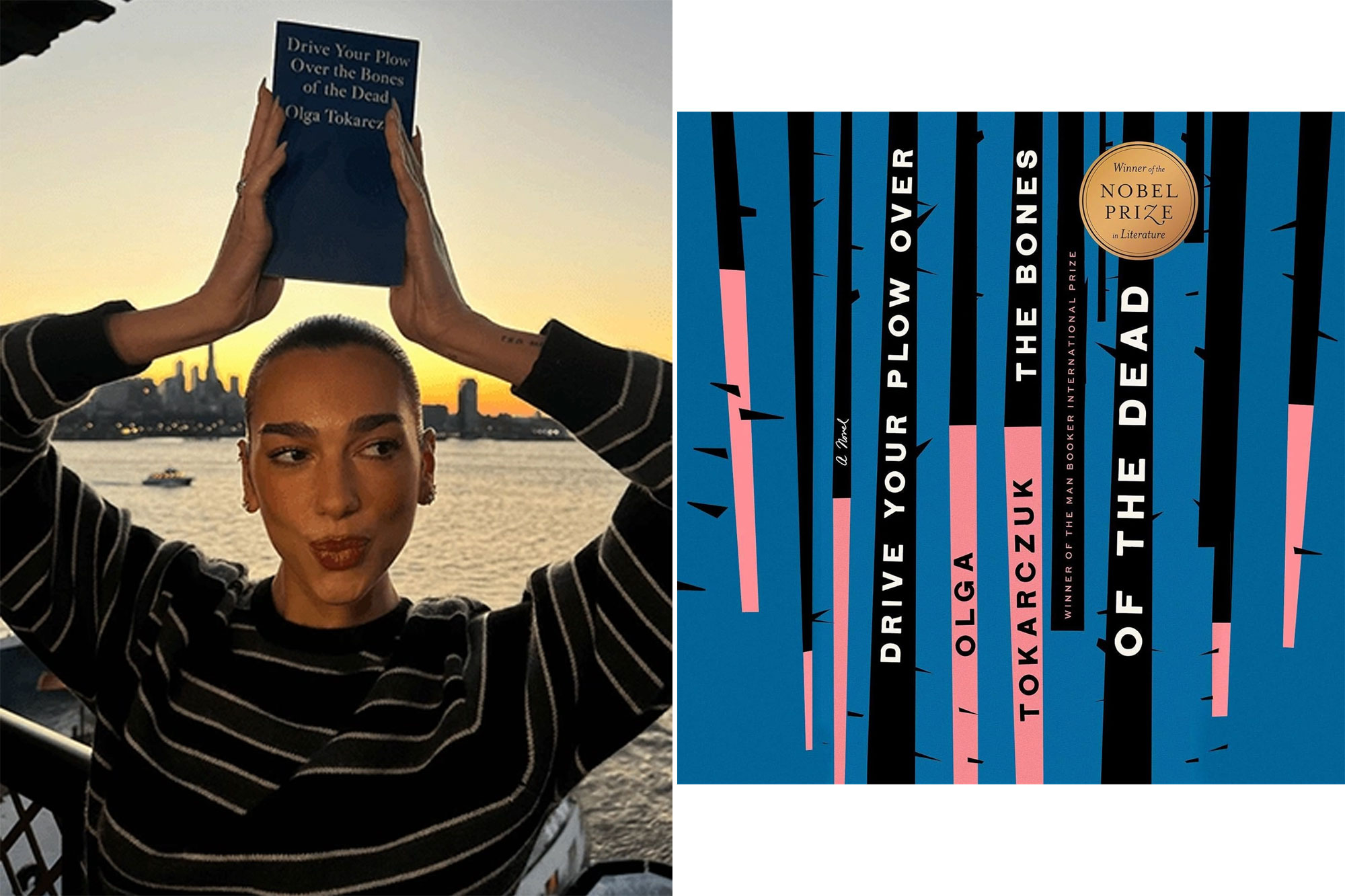 Drive Your Plow Over the Bones of the Dead