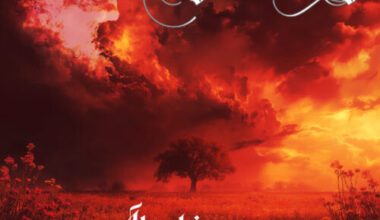 Dyed in Grey - Harbinger Review