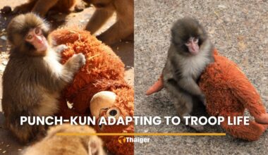 Photo of Ryan Turner