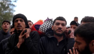 IDF stood by as settlers killed Palestinian teen, stole hundreds of sheep - report