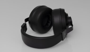 Final DX4000CL earpads