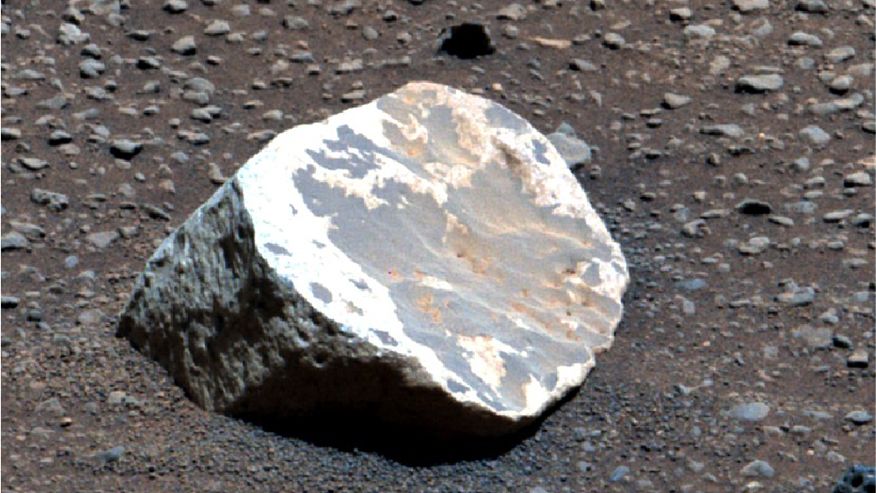 A white patterned rock on a rocky pebbled patch of ground.