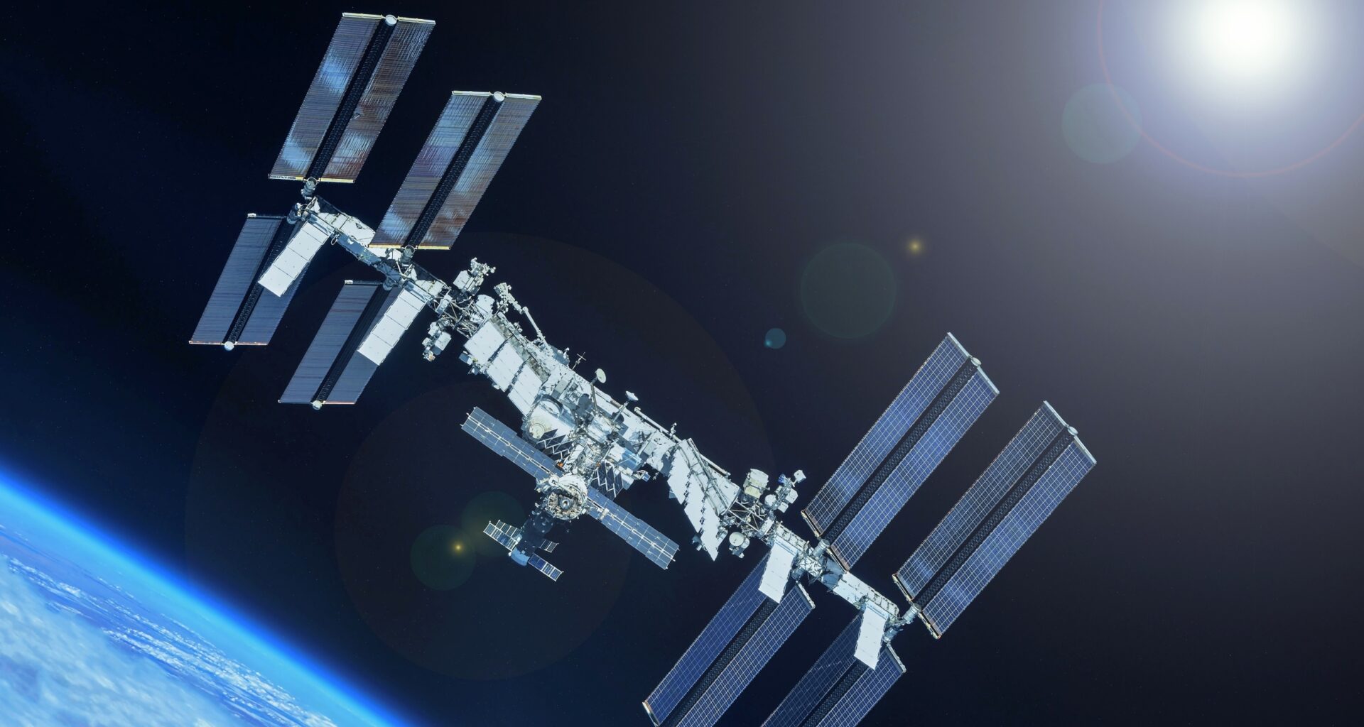 Space fungus mines rare metal from meteorites