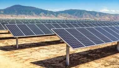 installing solar panels in deserts irreversibly transforms the ecosystem