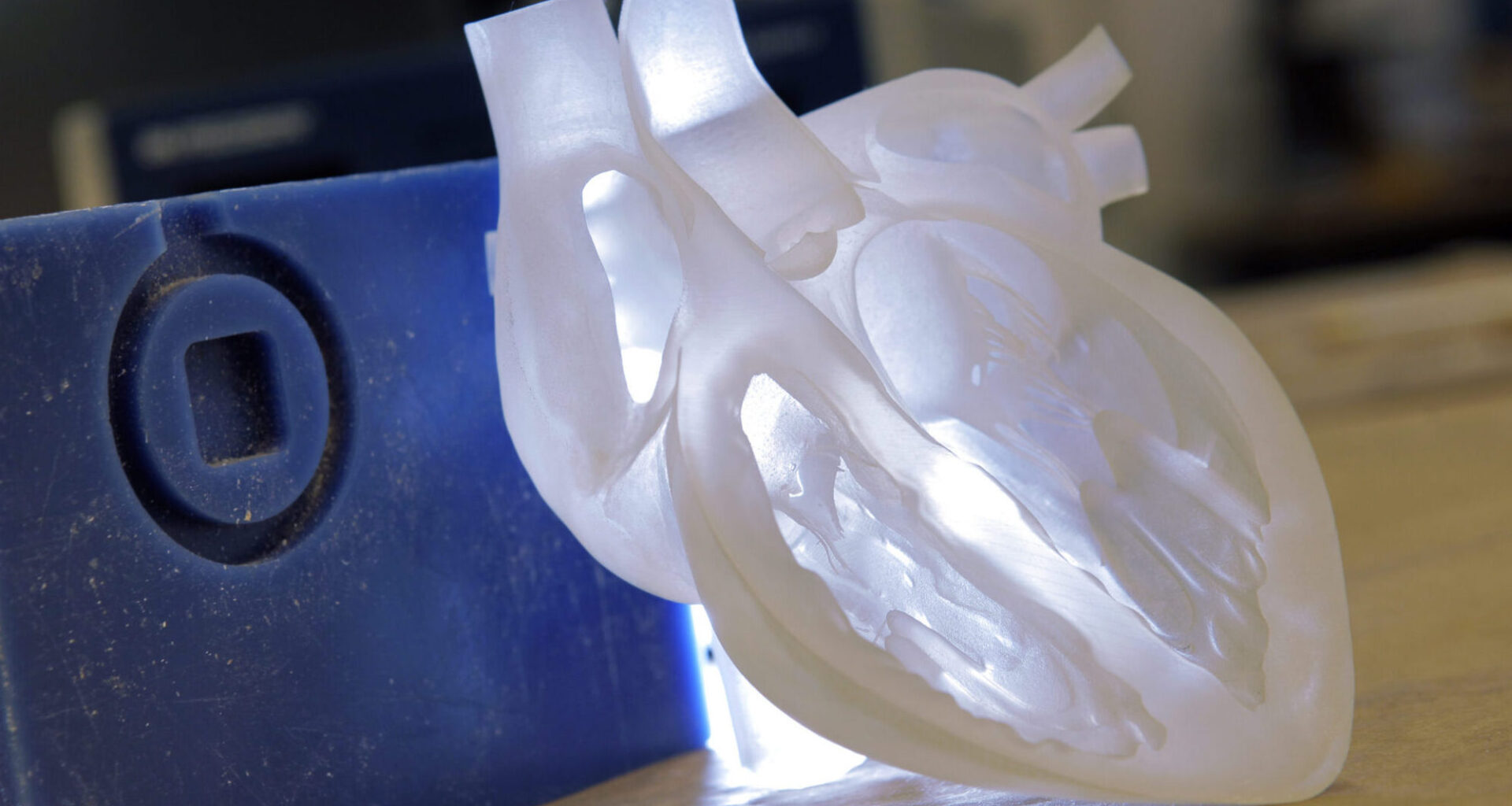 From Sniffing Cancer to Printing Organs: How Biology and Tech Are Colliding in Israel