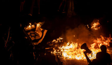 Fighting for Survival: Israel's Burning Season and Civil Society