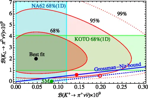 Graph Of Kaon Decay Limits From Different Experiments And The Standard Model.