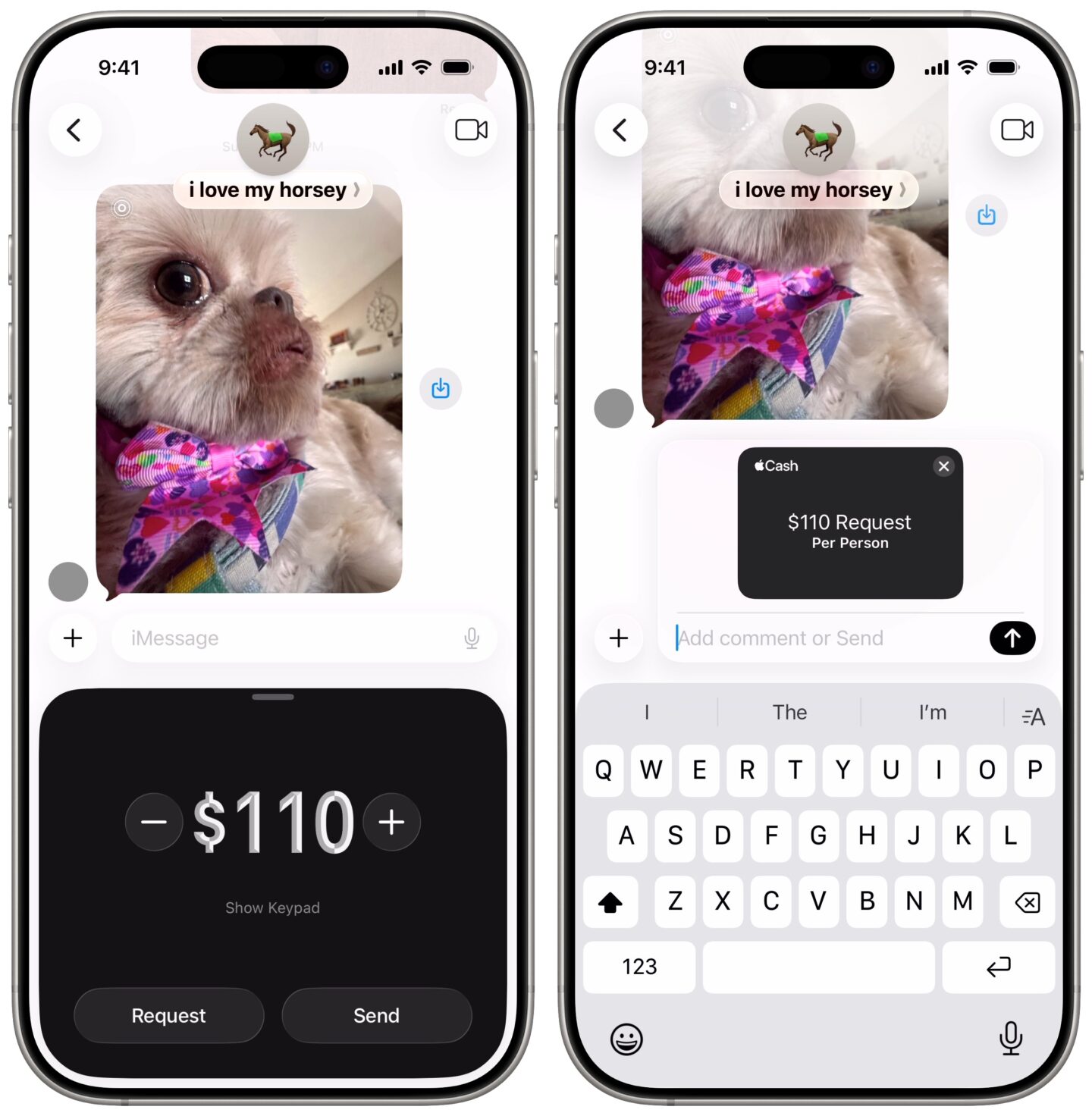 Making a group payment request on Apple Cash