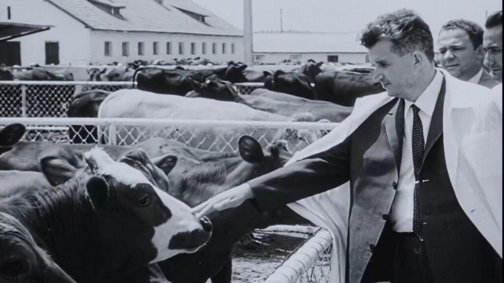 נשיא רומניה לשעבר, ניקולאה צ'אושסקו, וחברים