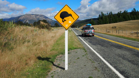 Israeli woman killed in suspected hit-and-run crash in New Zealand town