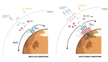 Diagram showing the different types of ways dust storms can affect the destruction of water on Mars. Credit - Brines, Aoki, Daerden et al., 2026, Communications: Earth &amp; Environment.