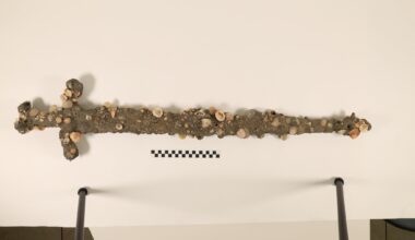 Diver finds his second Crusader sword in 5 years off Israel's coast
