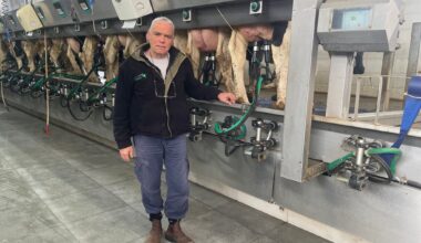 Avi Fraiman, the CEO of Kibbutz Alumim's dairy in southern Israel, January 13, 2026. (Sue Surkes/Times of Israel)