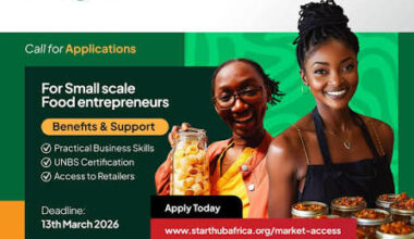 Call for Applications: StartHub Africa Market Access Program 2026 (12-Month