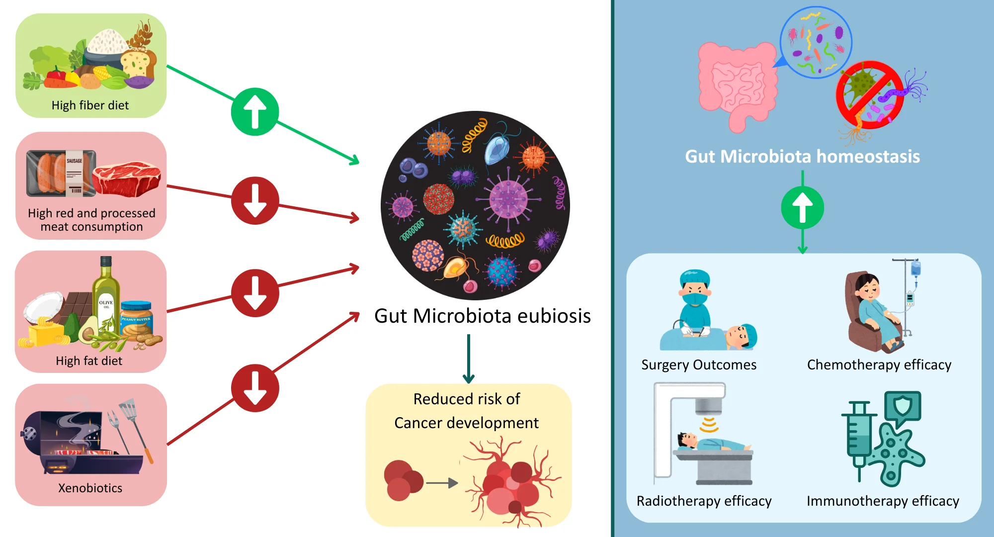 The interplay between the gut microbiota and colorectal cancer