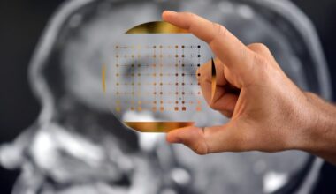 Researchers open ‘window to the brain’ with powerful cancer tech