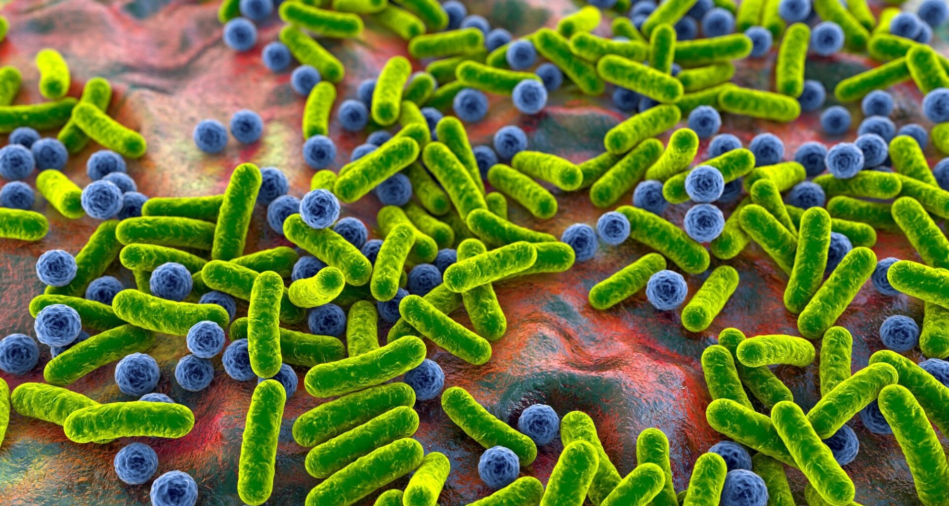 Study: Exploring the gut microbiome in type 2 diabetes across different insulin resistance levels: a machine learning approach. Image Credit: Kateryna Kon / Shutterstock