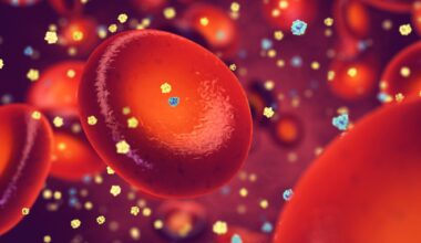 Study: Red blood cells serve as a primary glucose sink to improve glucose tolerance at altitude. Image Credit: nobeastsofierce / Shutterstock