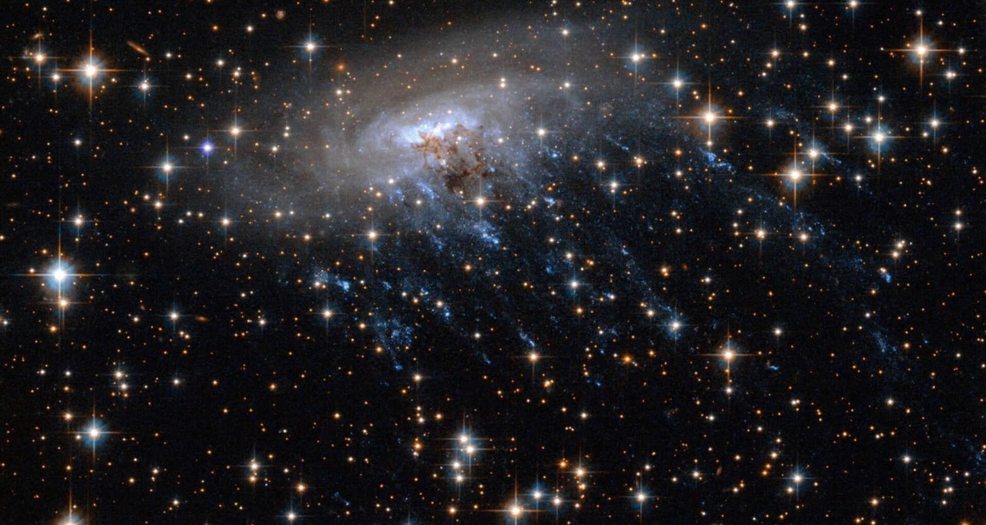 Oldest jellyfish galaxy reveals harsh conditions in the early universe