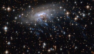 Oldest jellyfish galaxy reveals harsh conditions in the early universe