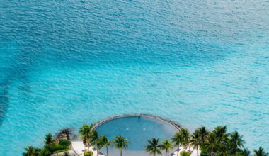 Paradise found: Tatler jets out to the Maldives for three days of sun, art – and champagne