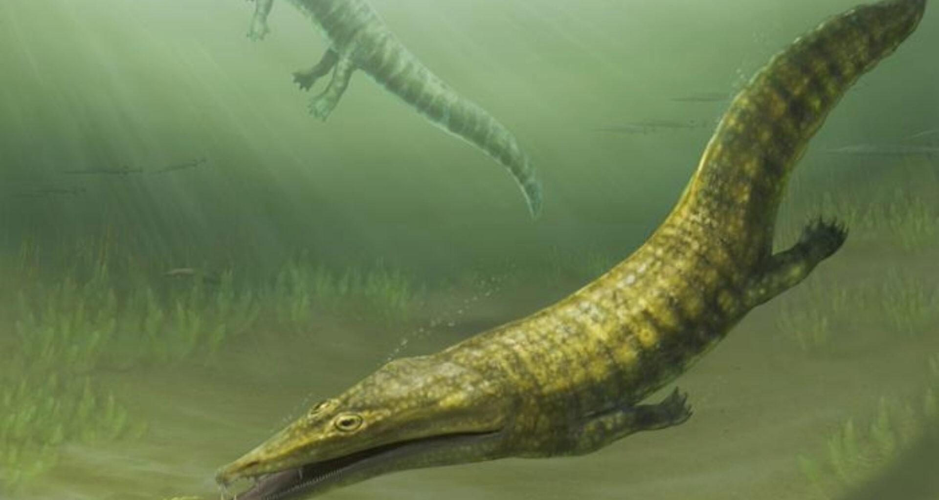 Lost 'sea monster' fossils reveal global ocean takeover
