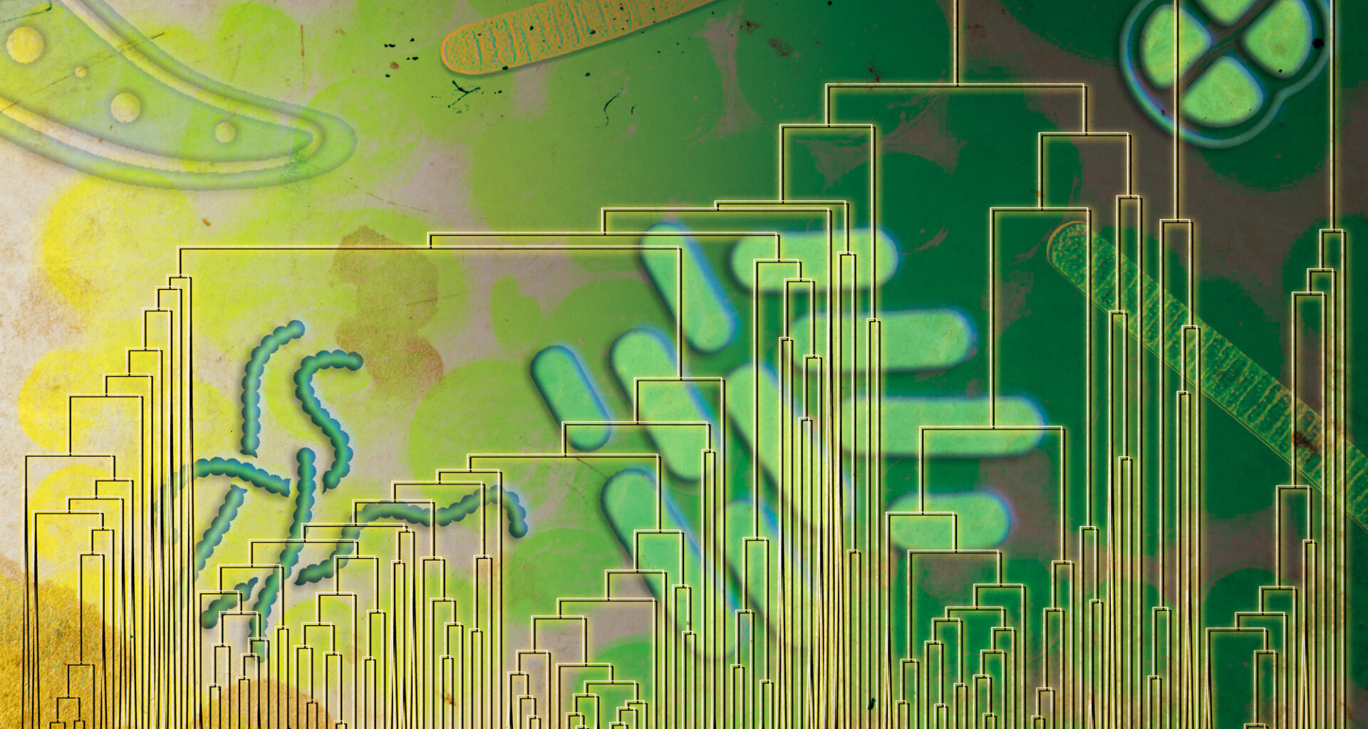 Some early life forms may have breathed oxygen well before it filled the atmosphere | MIT News